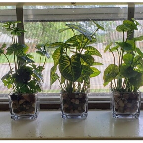 New Set of 3 Artificial Plants, Faux Tabletop Greenery in Clear Glass Pots - Picture 3 of 3